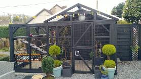 Beautiful Shed Catio built in Cork