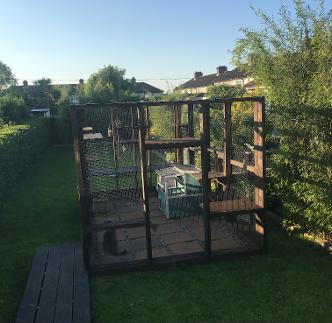 Outdoor Freestanding Pet Cat Enclosure