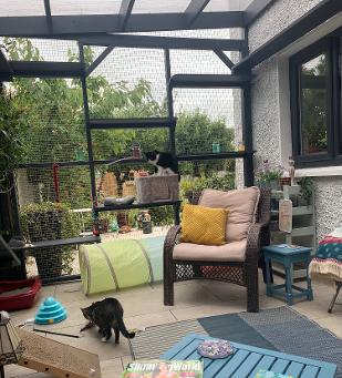 two cats relaxing in their outdoor safe catio