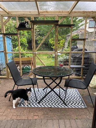Stylish outdoor enclosed cat area
